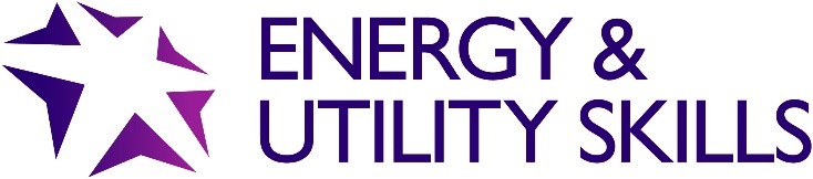 Energy Utility Skills